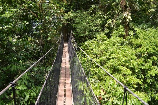 manuel antonio zipline tours costa rica