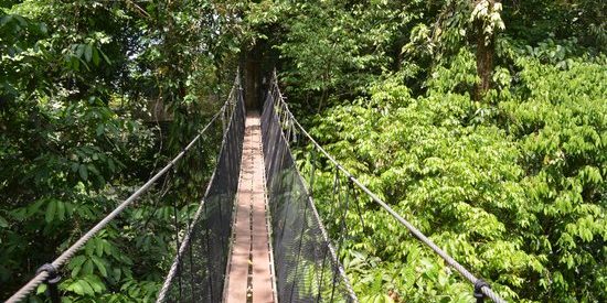 manuel antonio zipline tours costa rica manuel antonio zipline tours costa rica